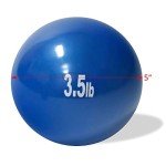 Weighted Exercise Toning Ball - Set of 2 - by Trademark Innovations (3.5lbs),Blue