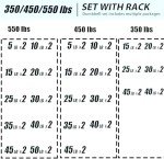 350LB Rubber Hex Dumbbell Set with Rack