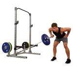 Sunny Health & Fitness Power and Squat Rack with High Weight Capacity, Olympic Weight Plate Storage and 360° Swivel Landmine and Power Band Attachment
