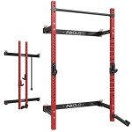 Mikolo 2" x 2" Folding Wall Mounted Squat Rack, 1000 Pounds Capacity Power Rack with Pull Up Bar, J Hooks, Landmine and Other Attachments, Space-Saving Home Gym(Red