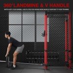 FAGUS H 3"x3" Power Cage, 2400lbs Multi-Function Power Rack, Commercial Squat Rack for Home Gym Free Weight with Attachment Set, Jammer Arm, Lever Arm, Lat Pulldown, Leg Extension and Curl