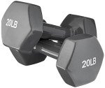 Amazon Basics Vinyl Dumbbells, 20 lbs (Set of 2)