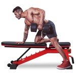 DERACY Adjustable Weight Bench for Full Body Workout, Incline and Decline Weight Bench for Indoor Workout, Home Gym (Red)