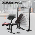 Aceshin Olympic Weight Bench, 900 LBS Adjustable Weight Bench and Squat Rack, Bench Press Set with Leg Extension, Preacher Curl Pad, Workout Bench for Home Gym