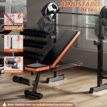 XDDIAS Bench Press, 5 IN 1 Olympic Weight Bench Press With Squat Rack, 770LBS Multi Adjustable Weight Bench for Home Gym, Workout Bench Flat Incline Lifting Bench for Full Body Strength Training