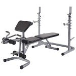 BalanceFrom RS 60 Multifunctional Workout Station Adjustable Olympic Workout Bench with Squat Rack, Leg Extension, Preacher Curl, and Weight Storage, 800-Pound Capacity, Gray