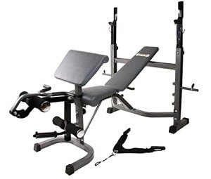 Body Champ Olympic Weight Bench, Workout Equipment for Home Workouts, Bench Press with Preacher Curl, Leg Developer and Crunch Handle At Dark Gray/Black, BCB5860