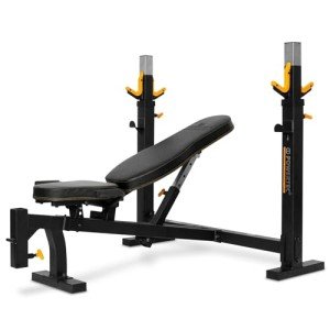 PowerTec Workbench Olympic Weight Bench Press for Home Gym WB-OB16 - Adjustable Workout Bench with 9 Horizontal, Vertical Positions, 7 Incline Positions, Decline - Fitness Equipment