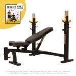 PowerTec Workbench Olympic Weight Bench Press for Home Gym WB-OB16 - Adjustable Workout Bench with 9 Horizontal, Vertical Positions, 7 Incline Positions, Decline - Fitness Equipment