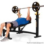 PowerTec Workbench Olympic Weight Bench Press for Home Gym WB-OB16 - Adjustable Workout Bench with 9 Horizontal, Vertical Positions, 7 Incline Positions, Decline - Fitness Equipment