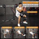 OPPSDECOR Adjustable Weight Bench Set with Leg Extension and Leg Curl, 900LBS Heavy Duty Profesional Bench Press Set with Squat Rack, Preacher Curl Strength Training Workout Benches for Home Gym