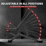 Adjustable Weight Bench, 1100 LB Weight Capacity Heavy-duty Workout Bench, Extended Head, and Neck Protection Design, Foldable Flat/Incline/Decline Exercise Multi-Purpose Bench for Home Gym