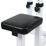 BBBuy Adjustable Arm Preacher Curl Bench Bicep Strengh Bench Seated Strenghthen Training Isolated Barbell Dumbell Biceps Station for Home Gym