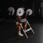 Titan Fitness Seated Preacher Curl Bench, Max Load 250 LB, Bicep Curl Support Training, Isolated Barbell Dumbell Ez Curl Specialty Bench