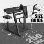 GMWD Bicep Tricep Curl Machine, 250LBS Plate Loaded Bicep Curls and Tricep Extension Machine, 2 in 1 Exercise Equipment for Home Gym Workout Station, Black