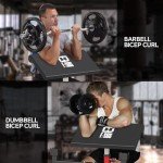 FAGUS H Adjustable Preacher Curl Bench, Strength Training Biceps Bench, Isolated Barbell Dumbbell Bicep Tricep Muscle Seated Bench, 440LBS Home Gym Fitness Equipment with Moving Wheels, Red