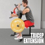 GMWD Bicep Tricep Curl Machine, 250LBS Plate Loaded Bicep Curls and Tricep Extension Machine, 2 in 1 Exercise Equipment for Home Gym Workout Station, Black