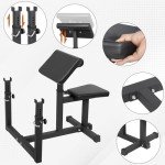 HSM Preacher Curl Weight Bench Max load 450lbs Strength Training Seated Arm Isolated Barbell Dumbbell Biceps Station Home Gym (BLACK)
