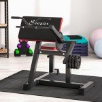 Soozier 2-in-1 Bicep Preacher Curl Bench with Adjustable Seat and Elbow Cushion, Plate Loaded Bicep Curl Machine & Tricep Extension Machine for Home Gym Workout
