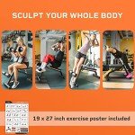 Lifepro SculptTrainer Roman Chair Hyperextension Bench, Back Extension Bench Machine for Glute, Hamstring and Lower Back, Multipurpose Adjustable Exercise Equipment, Foldable for Home Gym Fitness