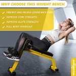 BODYRHYTHM Compact Adjustable Weighted Bench for Full Body Strength Training, Ab/Back Hyper Roman Chair, Adjustable Ab Sit up Bench, Hyperextension Bench, Back Extension Machine (Yellow)