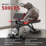Adjustable Weight Bench,Utility Workout Bench Foldable Incline Decline Benches for Home Gym Full Body Workout,Load 330LBS