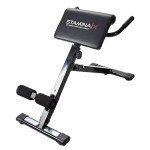 Stamina X Adjustable Ab, Back, and Core Strength Exercise Sit-Up Fitness Hyperextension Weight Bench for At-Home Workouts, Black