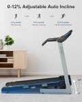 BORGUSI Auto Incline Treadmill with 300 LBS Capacity, 3HP Folding Electric Treadmills for Home, Running Machine with 17.5 Wide Belt, Shock Absorption, 8.5 MPH Speed, Preset Programs, Bluetooth Speaker