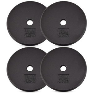 Yes4All 10lb Cast Iron Weight Plates (4-Pack)