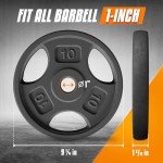 Yes4All 10lb Cast Iron Weight Plates - 4 Pack