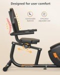 JEEKEE Recumbent Exercise Bike for Adults Seniors - Indoor Magnetic Cycling Fitness Equipment for Home Workout Black