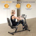 VANSWE Recumbent Exercise Bike for Adults Seniors - For Home Workout with 16 Levels Resistance, 380 lbs Weight Capacity, Bluetooth Connectivity and Pulse Sensor RB661 (Silver)