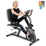 VANSWE Recumbent Exercise Bike for Adults Seniors - For Home Workout with 16 Levels Resistance, 380 lbs Weight Capacity, Bluetooth Connectivity and Pulse Sensor RB661 (Silver)