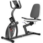VANSWE Recumbent Exercise Bike for Adults Seniors - For Home Workout with 16 Levels Resistance, 380 lbs Weight Capacity, Bluetooth Connectivity and Pulse Sensor RB661 (Silver)