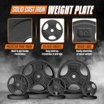 Yes4All 10lb Cast Iron Weight Plates - 4 Pack