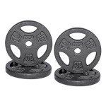 CAP Barbell Standard Weight Plates Set of 4