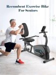 Recumbent Exercise Bike for Home Stationary Bike Sturdy Quiet 8 Levels Exercise Bike Large Comfortable Seat Heart Rate Handle & Device Holder 300 LB Weight Capacity