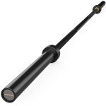 45 lb Olympic Barbell for Home Gym Workouts