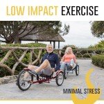 Mobo Cruiser Triton Pro Adult Recumbent Trike. Pedal 3-Wheel Bicycle. 16 Inches. Adaptive Tricycle for Teens to Seniors