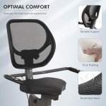 Recumbent Exercise Bike for Home Magnetic Stationary Bike for Adult Seniors, Workout Equipment for Gym, LCD, Heart Rate Handle,Indoor