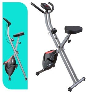 LINBOLUSA Portable Exercise Bike, Stationary Bikes for Home, Indoor Foldable Bike with 16-Level Magnetic Resistance, 300LBS Capacity, 3.5 LBS Flywheel, Designed for Home Workout 810 Black