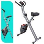 LINBOLUSA Portable Exercise Bike, Stationary Bikes for Home, Indoor Foldable Bike with 16-Level Magnetic Resistance, 300LBS Capacity, 3.5 LBS Flywheel, Designed for Home Workout 810 Black