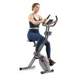 Sunny Health & Fitness Foldable Magnetic Exercise X-Bike Pro, 300 LB Capacity, Low-Impact, 14-Level Resistance, Ergonomic Support, SunnyFit® App Enhanced Bluetooth Connectivity - SF-B223011
