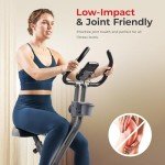 Sunny Health & Fitness Foldable Magnetic Exercise X-Bike Pro, 300 LB Capacity, Low-Impact, 14-Level Resistance, Ergonomic Support, SunnyFit® App Enhanced Bluetooth Connectivity - SF-B223011