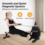 Panana Rower Machines for Home, Foldable Rowing Magnetic, Compact Fitness Equipment with Quiet Resistance 8 Levels, 300 lbs Weight Capacity, Phone Holder and Comfortable Seat Cushion