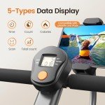 Niceday Hydraulic Rowing Machine, Rowing Machine for Home, Foldable Rowing Machine with 16-Level Resistance, 300LBS Weight Capacity and Adjustable Phone Holder Tube