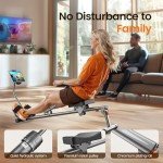 Niceday Rowing Machine, Rowing Machine for Home, Compact Hydraulic Rowing Machine with 16-Level Resistance, 300LBS Weight Capacity and Adjustable Phone Holder Tube