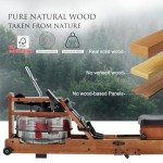 GYMTIME Water Rowing Machine for Home Use, Foldable Wood Rower Machine with Bluetooth Monitor for Cardio Training Whole Body Exercise Indoor Fitness Sports Equipment