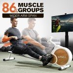 Rowing Machine, ZymFit Magnetic Rower Machine with 16 Levels of Resistance, Max 350lb Weight Capacity, Foldable Rowing Machines for Home Use