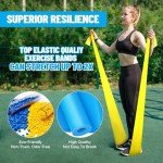 Resistance Bands, Professional Exercise Bands, Physical Therapy Bands for Strength Training, Yoga, Pilates, Stretching, Recovery, Stretch Elastic Band for Working Out, Workout Bands for Home Gym